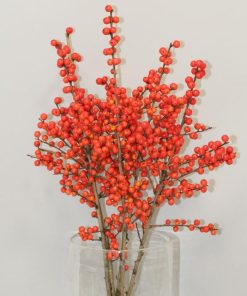 ILEX VERTICILLATA MAGICAL `SHOWTIME`