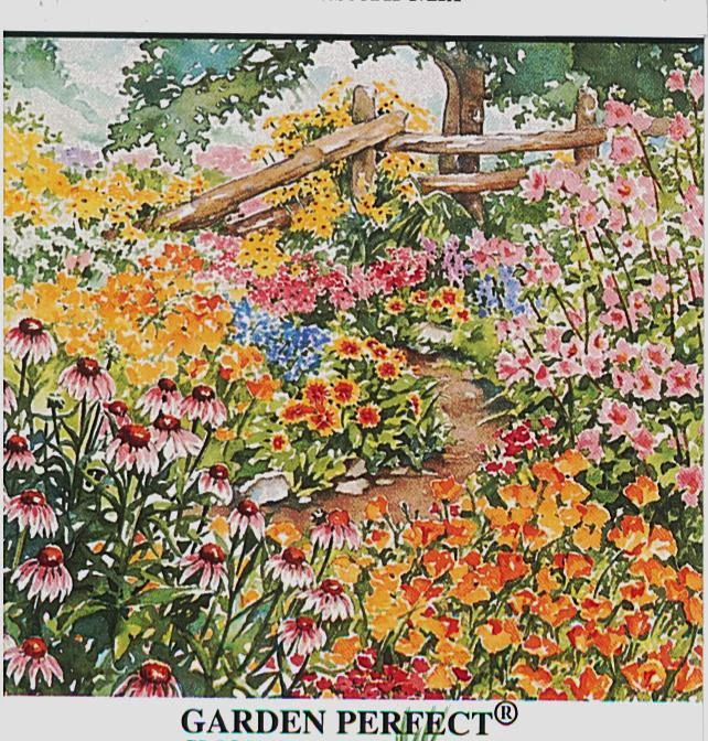 Fran’s Flowers